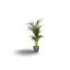 Topf elho Brussels Rund Antraciet D20 x H19