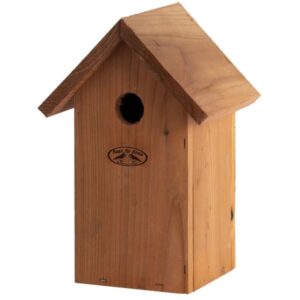 Vogelhaus kohlmeise - Nistkast - Douglas Holz