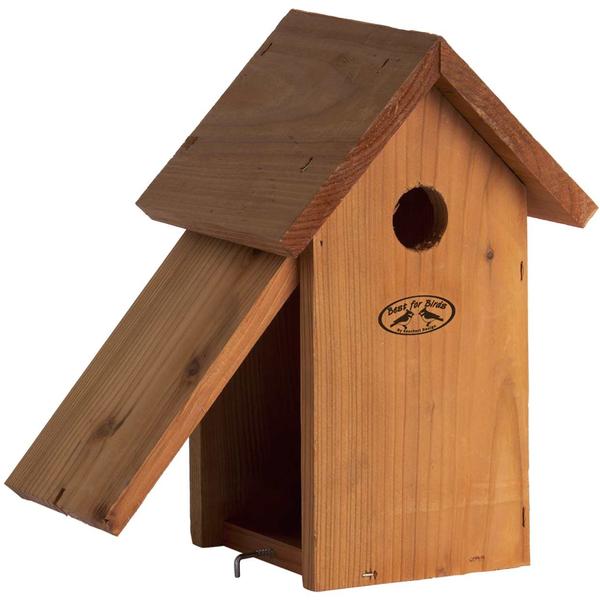 Vogelhaus kohlmeise - Nistkast - Douglas Holz