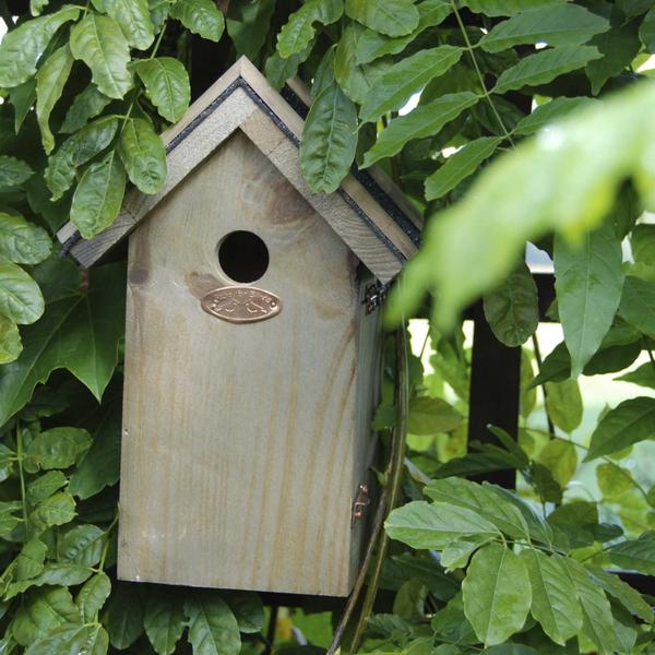 Vogelhaus Blaumeise - Nistkasten - Bitumendach