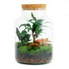 DIY Terrarium - Milky Palme - ↕ 30 cm