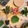 DIY Terrarium - Milky Palme - ↕ 30 cm