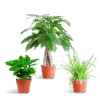 Tierfreundliche Plant Box - klein - ohne Dekotopf - Ø12