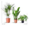 Shade Plant Box - medium - ohne Dekotopf