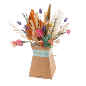 Getrocknete Blumen Pastel + faltbare Vase