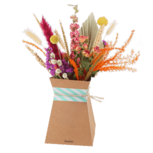Getrocknete Blumen + faltbare Vase
