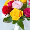 Colorful Roses - Briefkastenstrauß bunt