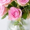 Süße Rosen - rosa Rosen im Briefkastenpaket
