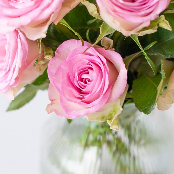 Süße Rosen - rosa Rosen im Briefkastenpaket