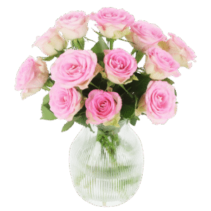 Süße Rosen - rosa Rosen im Briefkastenpaket