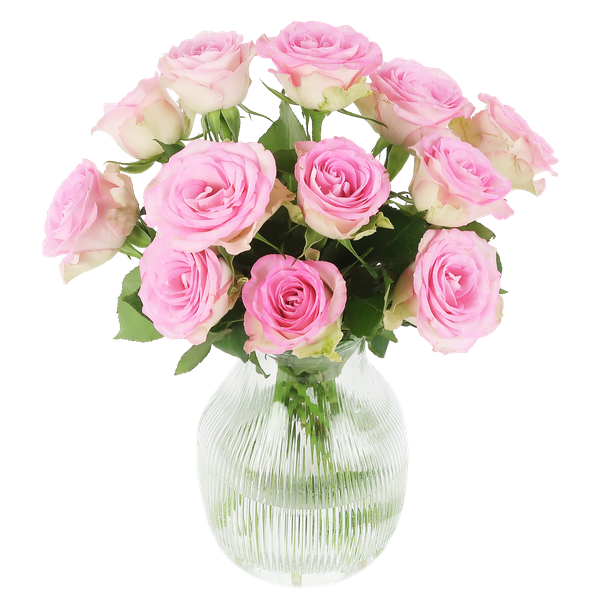 Süße Rosen - rosa Rosen im Briefkastenpaket